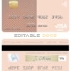 Editable Mauritius Bank of Baroda visa debit card Templates in PSD Format