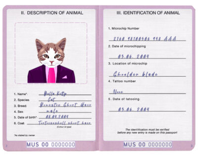 Mauritius cat Fake PSD Passport | Instant Download