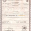 Authentic Mexico Birth Certificate Template | Customize and Download Online
