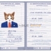 Mexico cat Fake PSD Passport | Instant Download