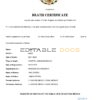 Fillable Mexico Death PDF Templates | Blank Docs