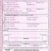 Mexico Marriage Certificate | Editable PDF Templates
