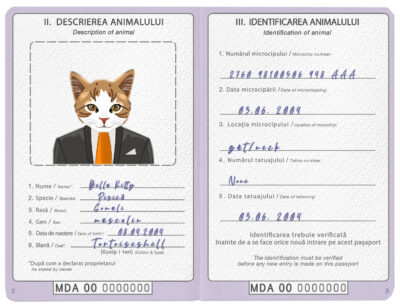 Moldova cat Fake PSD Passport | Instant Download