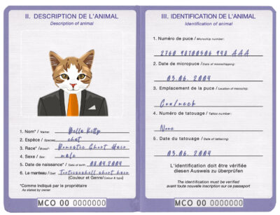 Monaco cat Fake PSD Passport | Instant Download