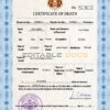 Customizable Monaco Death Certificate PSD Templates | Instant Download
