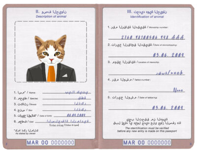 Morocco cat Fake PSD Passport | Instant Download