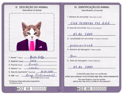 Mozambique cat Fake PSD Passport | Instant Download