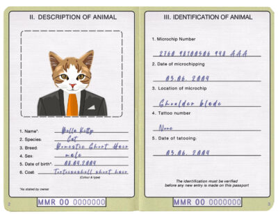 Myanmar cat Fake PSD Passport | Instant Download