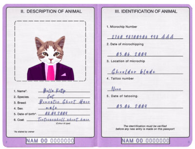 Namibia cat Fake PSD Passport | Instant Download
