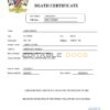 Fillable Namibia Death PDF Templates | Blank Docs