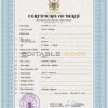 Customizable Namibia Death Certificate PSD Templates | Instant Download