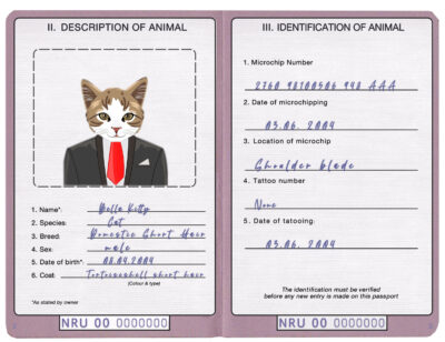 Nauru cat Fake PSD Passport | Instant Download