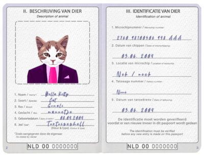 Netherlands cat Fake PSD Passport | Instant Download
