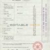 Authentic New Zealand Birth Certificate Template | Customize and Download Online