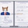 Nicaragua cat Fake PSD Passport | Instant Download