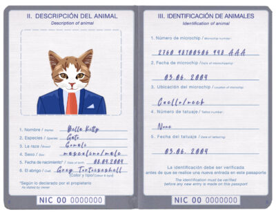 Nicaragua cat Fake PSD Passport | Instant Download