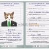 Niger cat Fake PSD Passport | Instant Download