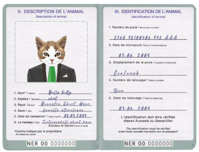 Niger cat Fake PSD Passport | Instant Download