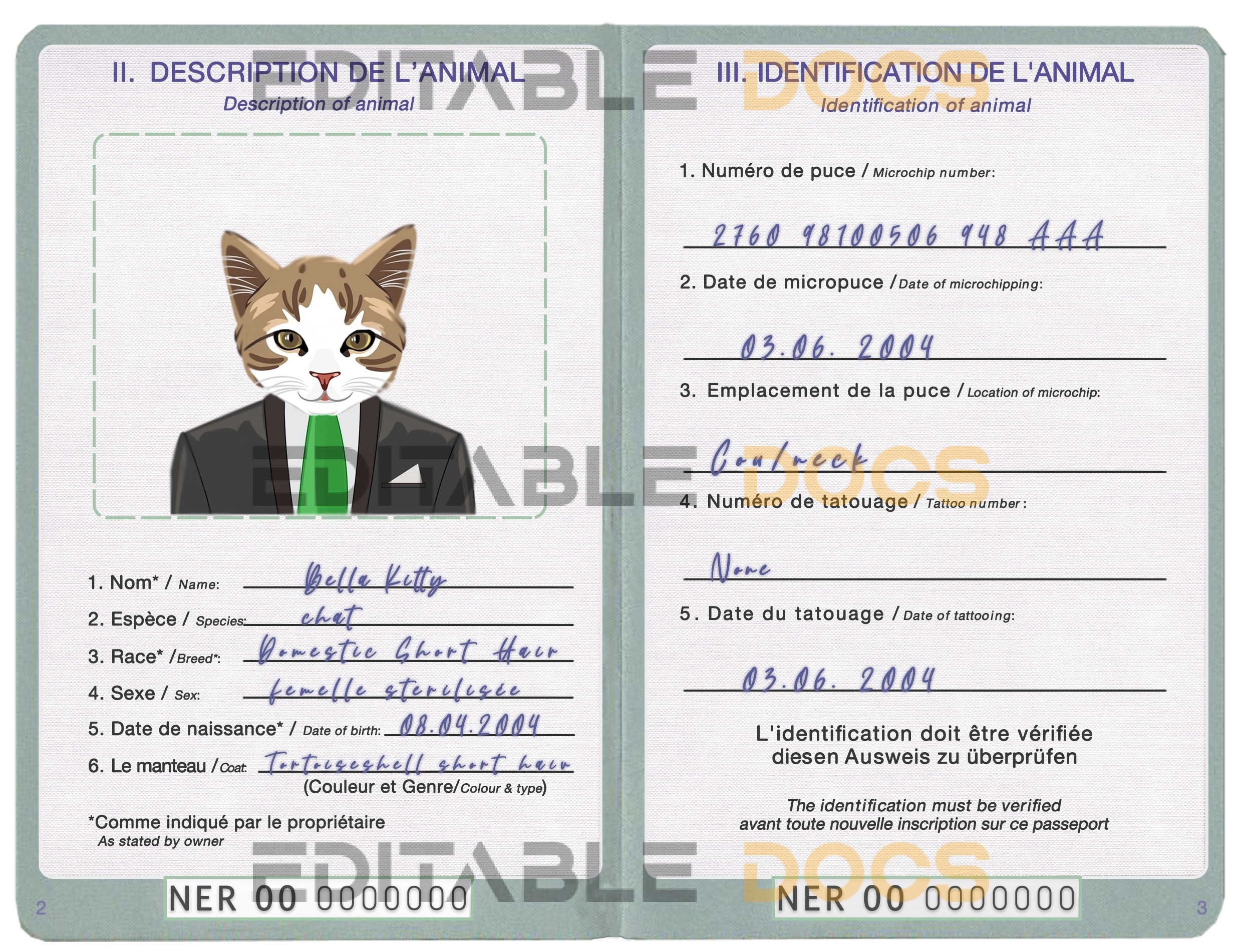 Niger cat Fake PSD Passport | Instant Download