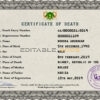 Customizable Niger Death Certificate PSD Templates | Instant Download
