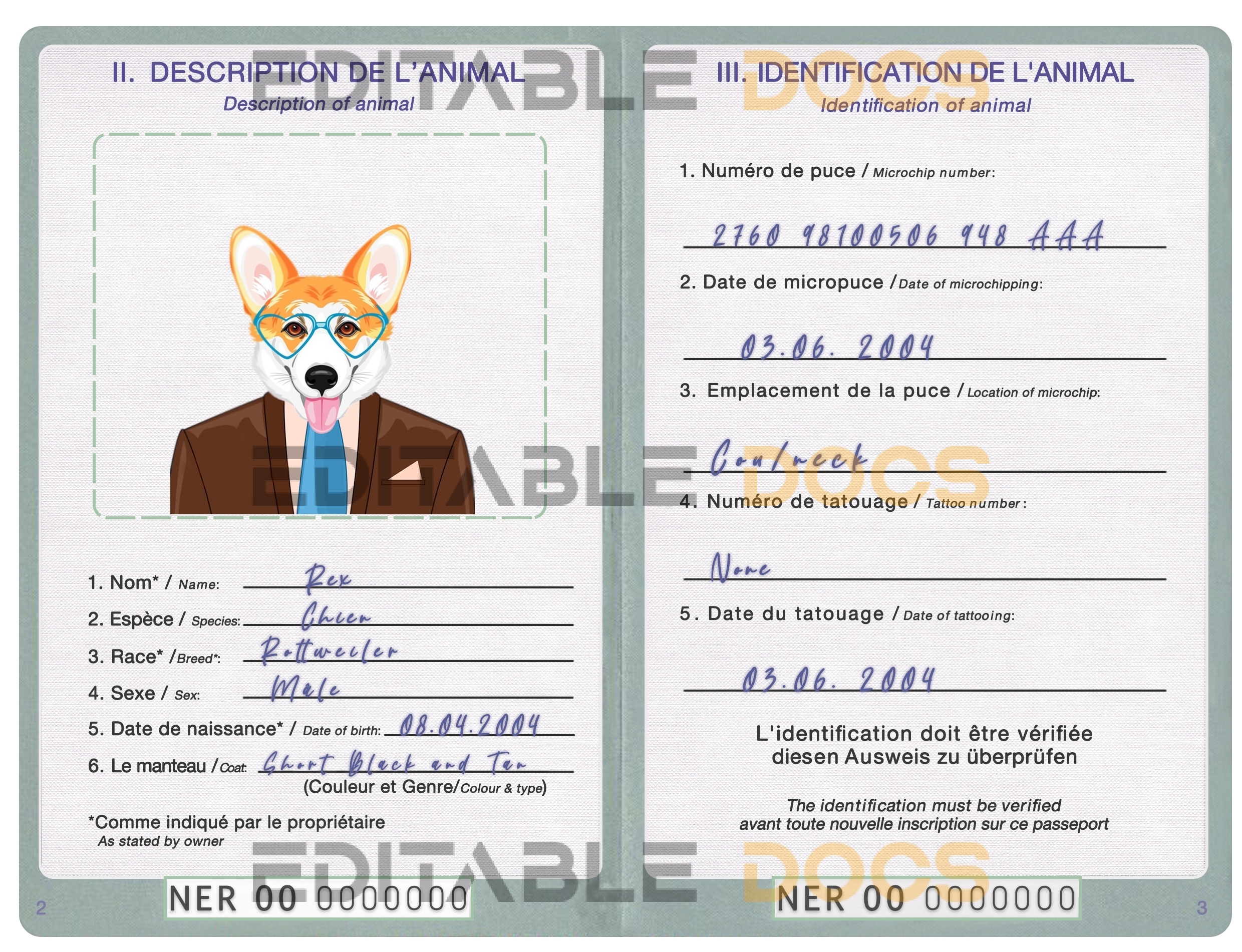 Niger dog Fake PSD Passport | Instant Download