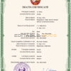 Customizable North Korea Death Certificate PSD Templates | Instant Download (Copy)