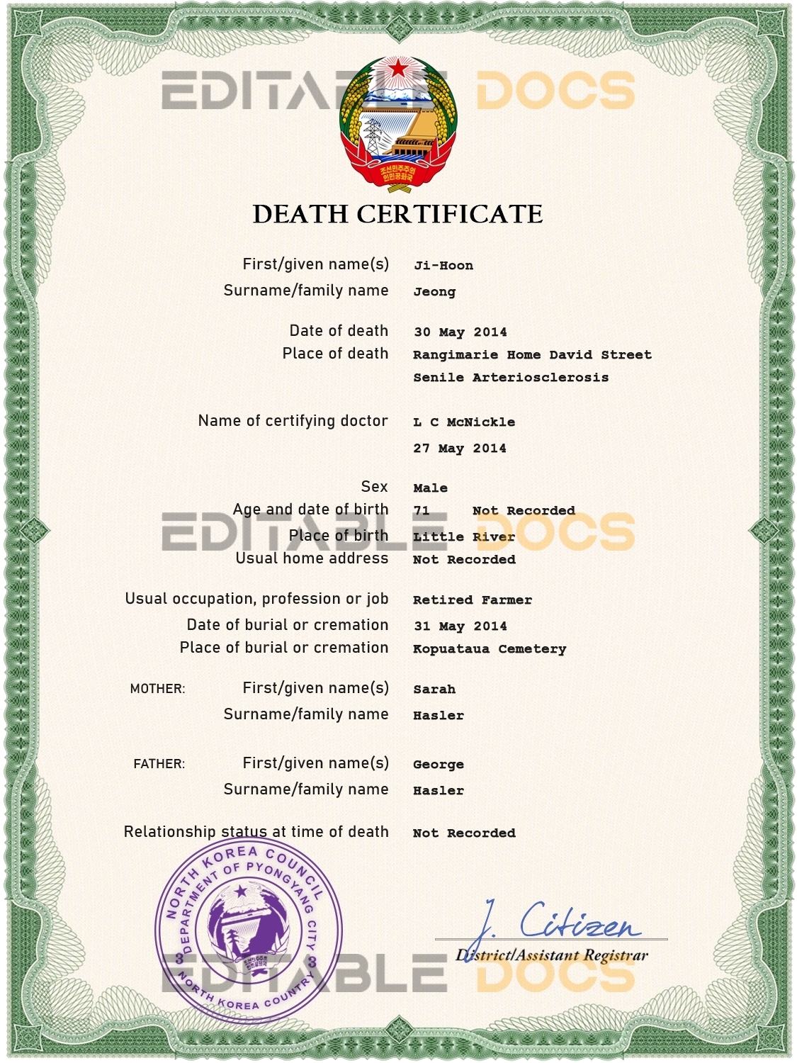 Customizable North Korea Death Certificate PSD Templates | Instant Download (Copy)