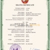 Customizable North Korea Death Certificate PSD Templates | Instant Download