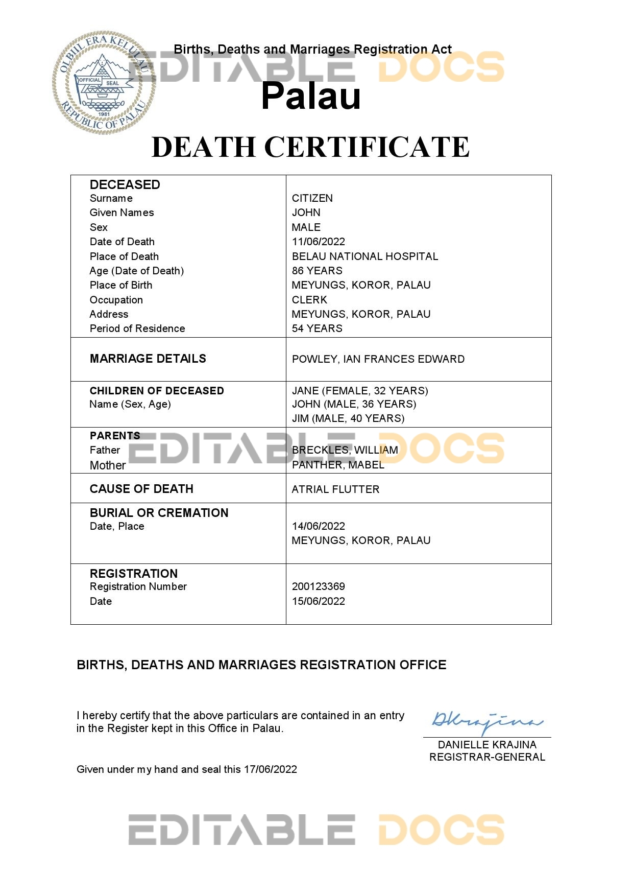 Fillable Palau Death PDF Templates | Blank Docs