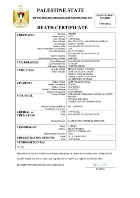 Palestine vital record death certificate Word and PDF template
