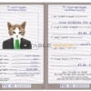 Palestine cat Fake PSD Passport | Instant Download