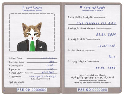 Palestine cat Fake PSD Passport | Instant Download