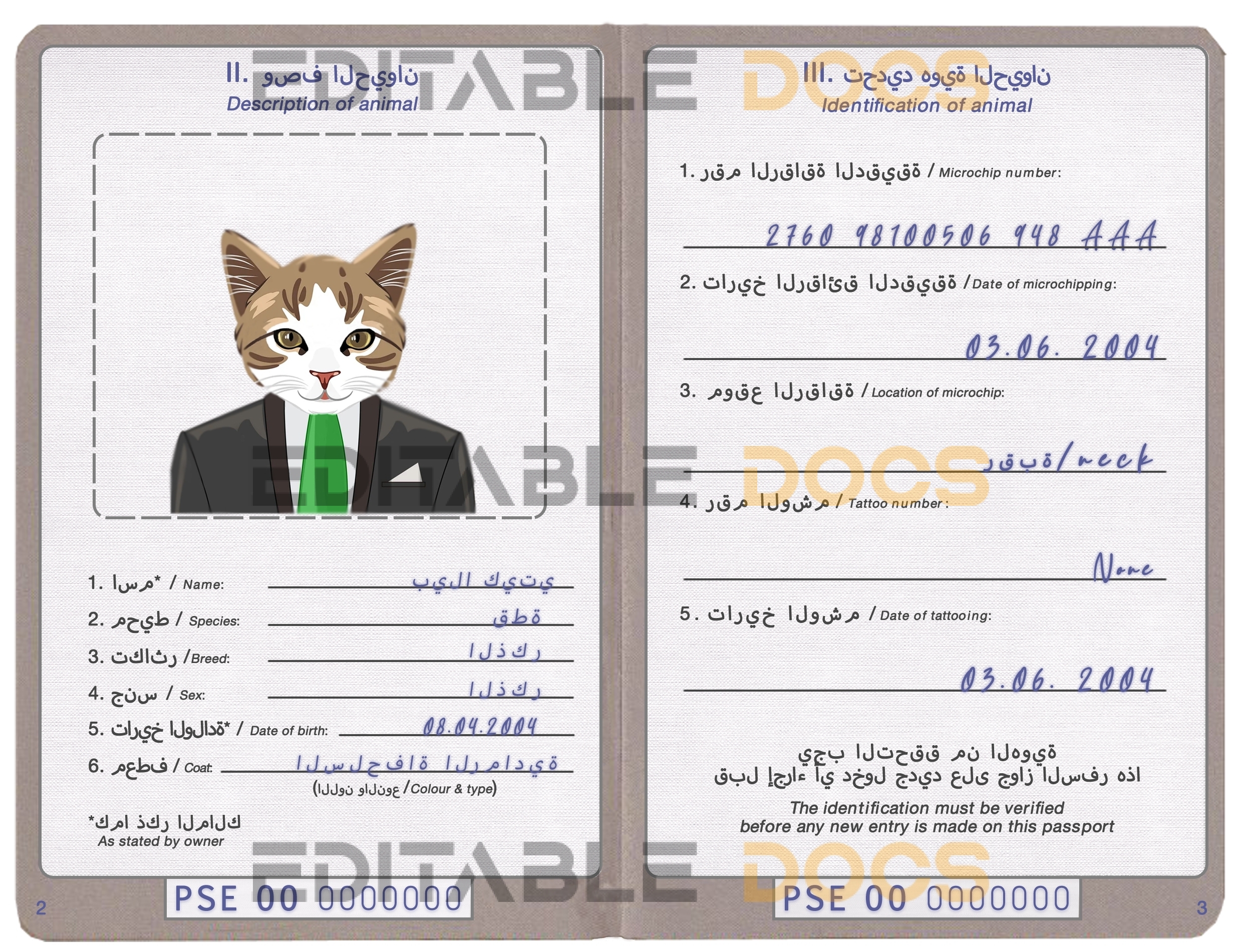 Palestine cat Fake PSD Passport | Instant Download
