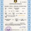Customizable Palestine Death Certificate PSD Templates | Instant Download