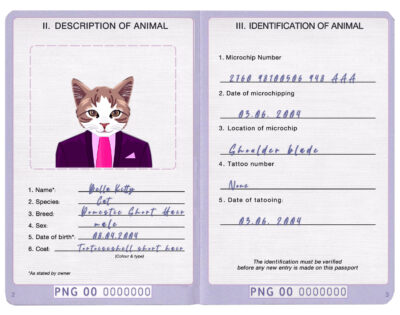 Papua New Guinea cat Fake PSD Passport | Instant Download