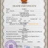 Customizable Papua New Guinea Death Certificate PSD Templates | Instant Download