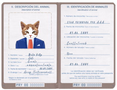 Paraguay cat Fake PSD Passport | Instant Download