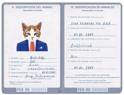 Peru cat Fake PSD Passport | Instant Download