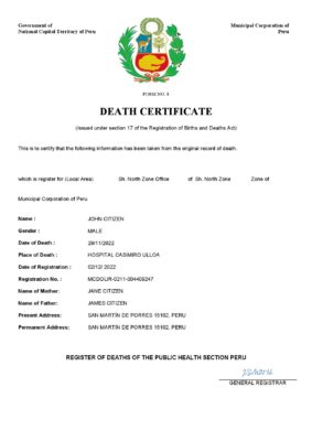 Peru vital record death certificate Word and PDF template