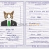 Poland cat Fake PSD Passport | Instant Download