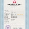 Customizable Poland Death Certificate PSD Templates | Instant Download