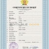 Customizable Portugal Death Certificate PSD Templates | Instant Download