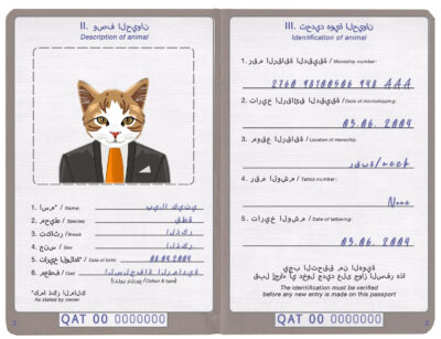 Qatar cat Fake PSD Passport | Instant Download