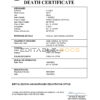 Fillable Qatar Death PDF Templates | Blank Docs