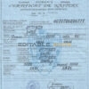 Authentic Romania Birth Certificate Template | Customize and Download Online