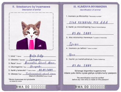 Rwanda cat Fake PSD Passport | Instant Download