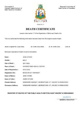 Saint Vincent and the Grenadines vital record death certificate Word and PDF template