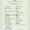 Customizable Saint Vincent and the Grenadines Death Certificate PSD Templates | Instant Download