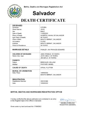 Salvador vital record death certificate Word and PDF template