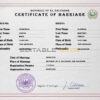 Salvador Marriage Certificate | Editable PSD Templates